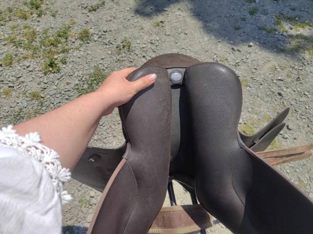 Selle Wintec 2000 marron