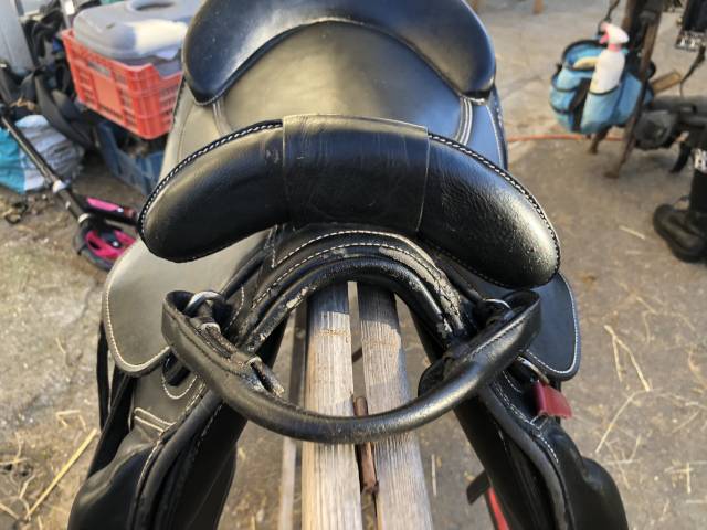 Selle Guy Cantin evolution