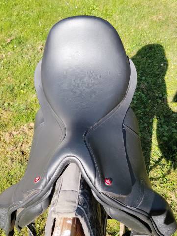 Thorowgood T8 Dressage Haut Garrot 18' avec 4 arcades