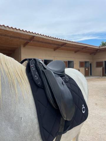 Selle Dressage ZALDI 16’5