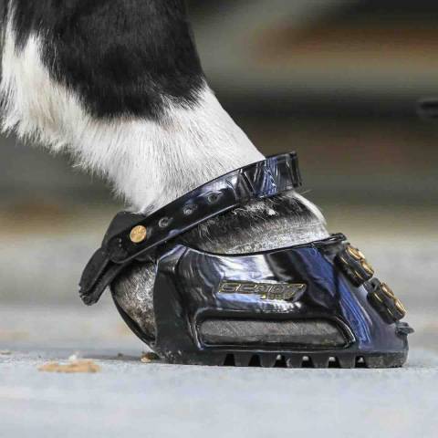 Scoot Boot Hoof Boots - Hipposandales - SLIM