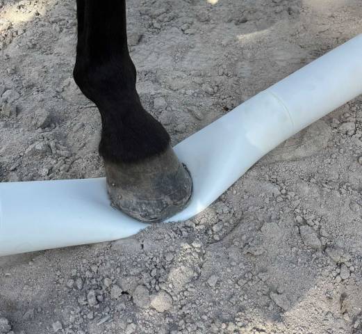 Barres au sol ajustables - Barnotti - Tronçon souple