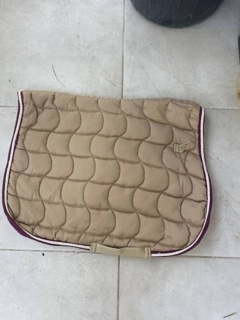 Tapis