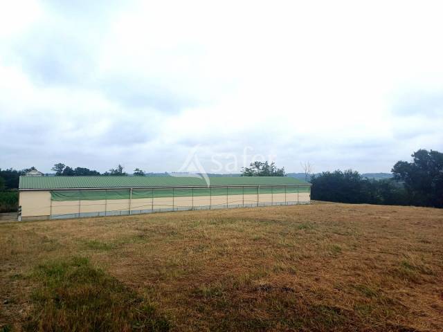 Propriété avec bâtiments élevage + maison poyartin