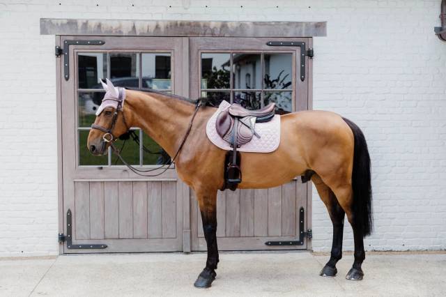 Tapis de selle Onion Quilt Rubber Logo MIXTE  - Kentucky