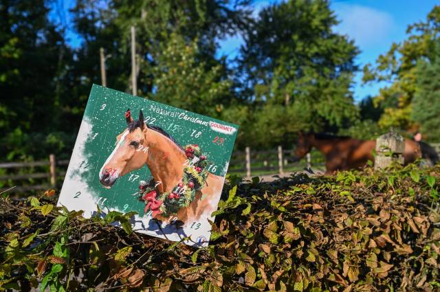 Calendrier de l'avent Natural'Christmas Gourmet - Natural'Innov