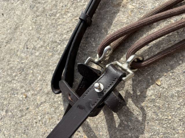 Gogue enrennement cheval