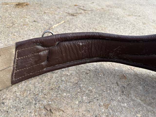 Sangle anatomique 125