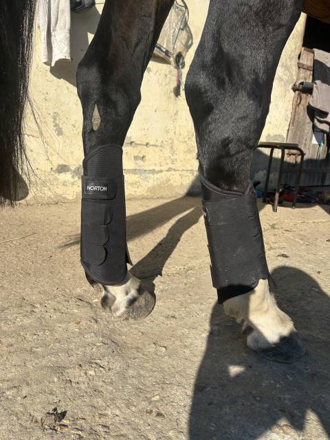 Ensemble de protection de cross 