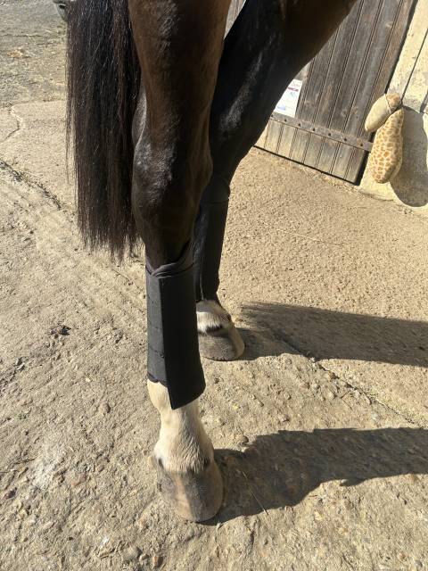 Ensemble de protection de cross 