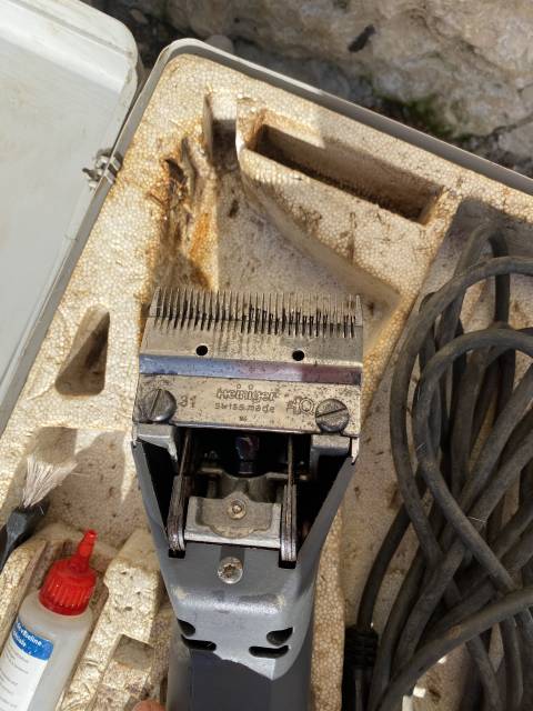 Tondeuse Heiniger delta 3