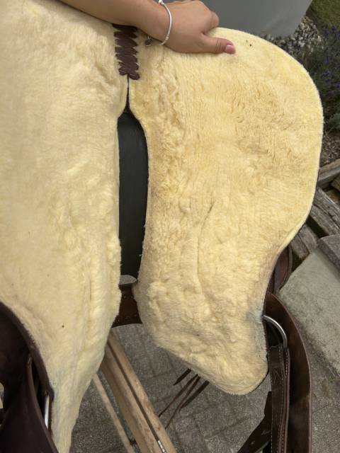 Selle équiflex continental 