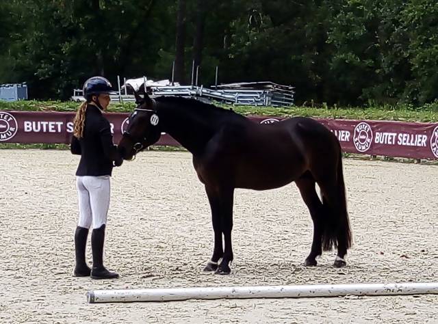 Logan du poet  : logan du poet 