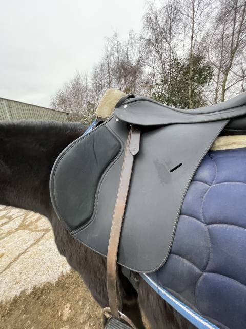 Selle mixte Wintec 250