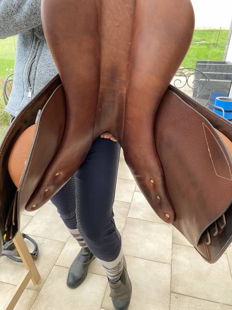 SELLE ANTARES MODELE « ALTAIR » - 17,5 pouces