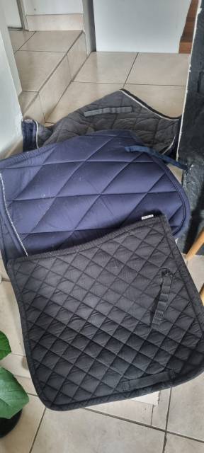 Lot Tapis de dressage