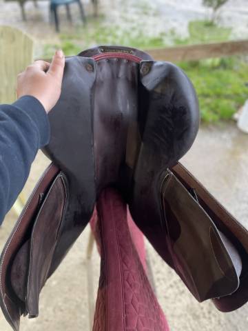 Selle Forestier modèle Séoul