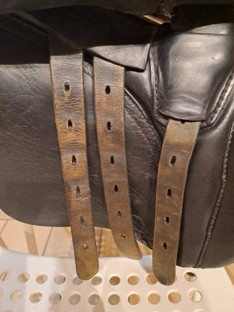 Selle Jorge Canaves 14 pouces