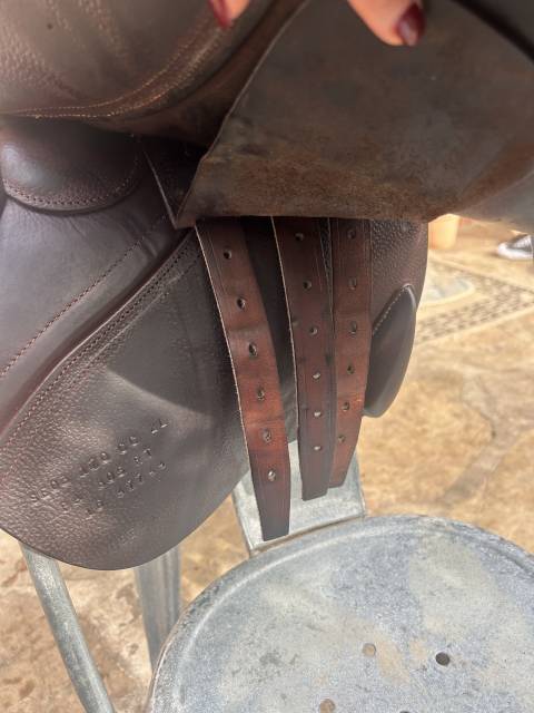 A vendre selle CWD + étrivières CWD + housse + kit