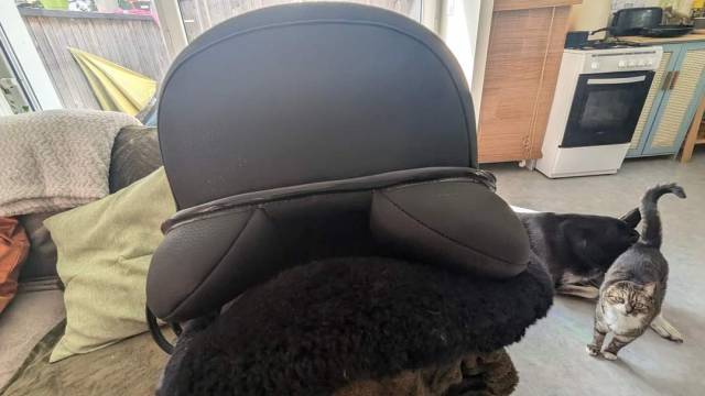 Selle de dressage 17" marque Norton pro dressage 