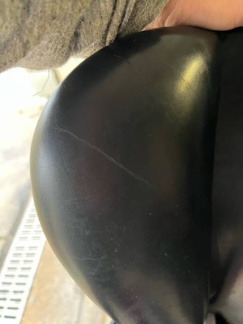 Selle Henri de Rivel Mixte