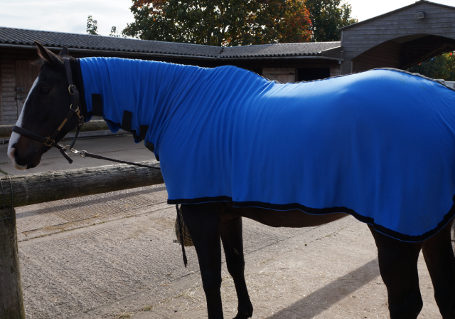 Chemise Herbb Elite avec cou - Herbb - Coton bio premium