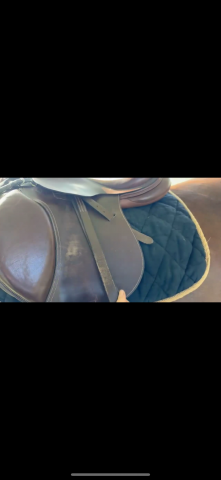 Selle Éric Thomas hybrid 