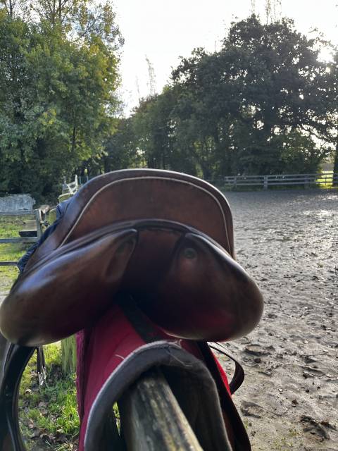 Selle Hervé Godignon 