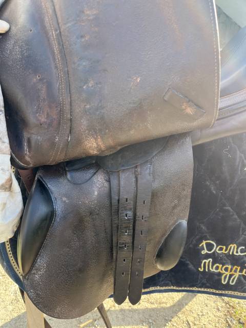 Selle Éric Thomas mixte