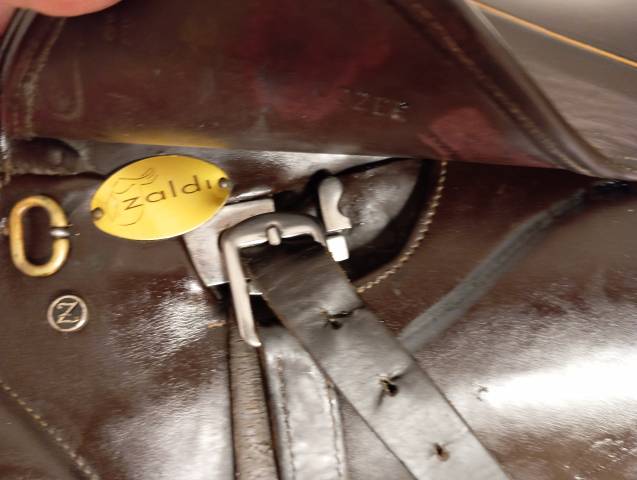 Selle mixte Zaldi Olympique 