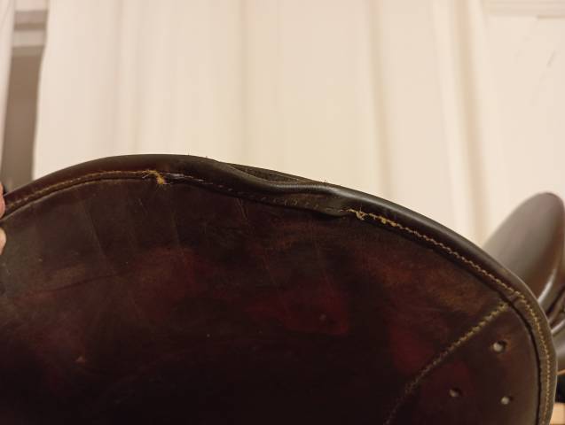 Selle mixte Zaldi Olympique 