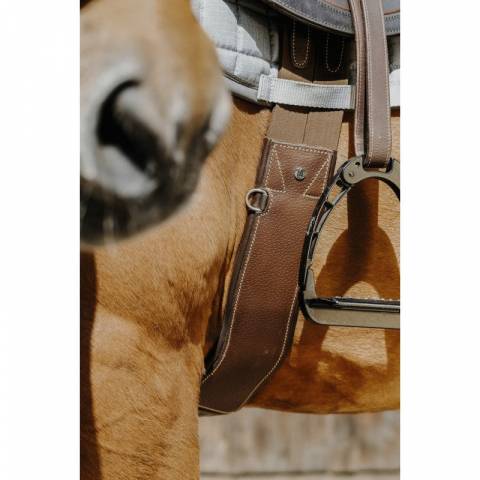 Sangle anatomique Magnet - NORTON