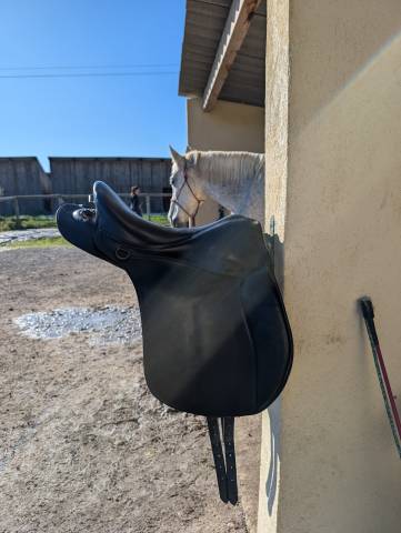 Selle Forestier TREC