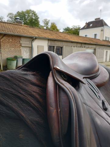 Selle Devoucoux Biarritz Lab 18 pouces