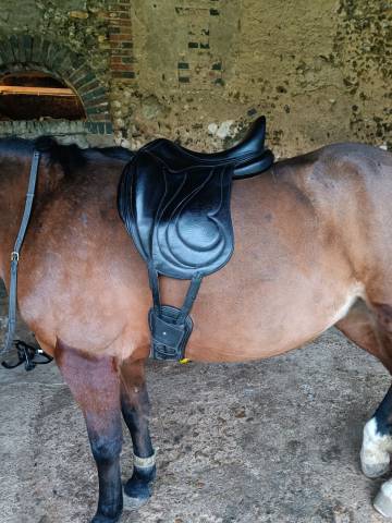 Selle de dressage Antares Cadence 17.5