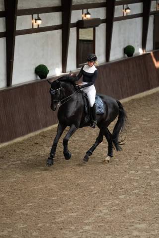 Tapis de selle Winter Shadow DRESSAGE - Equestrian Stockholm