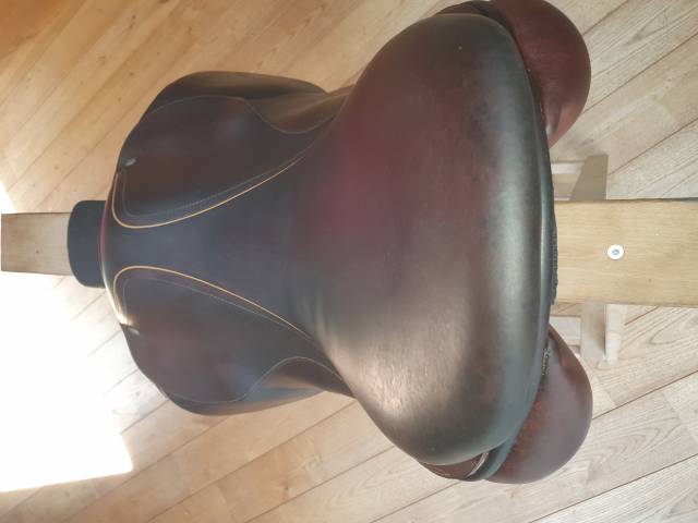 Selle mixte CSO CHILDERIC 17.5