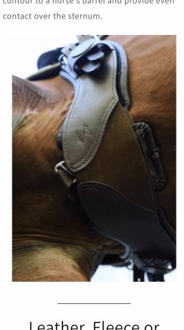 Sangle courte Total Saddle fit 