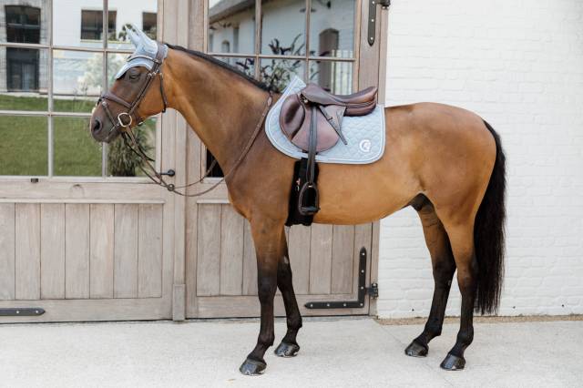 Tapis 3D Logo Onion Quilt JUMPING - Kentucky