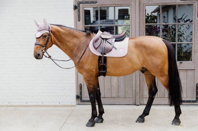 Tapis 3D Logo Onion Quilt JUMPING - Kentucky