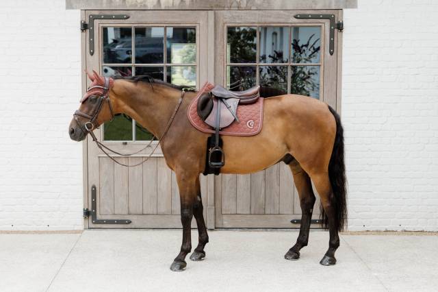 Tapis 3D Logo Onion Quilt JUMPING - Kentucky