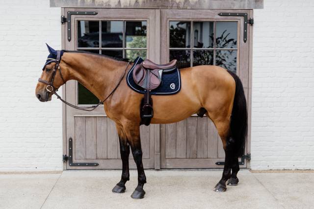 Tapis 3D Logo Onion Quilt JUMPING - Kentucky