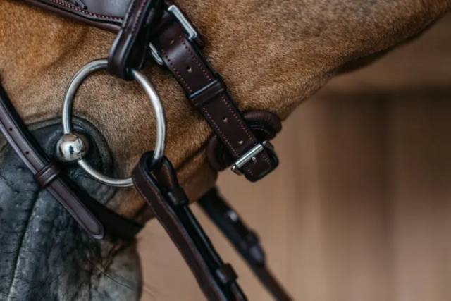 Bridon muserolle pull back tressée - Dy'on