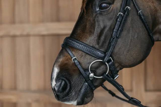 Bridon muserolle pull back tressée - Dy'on