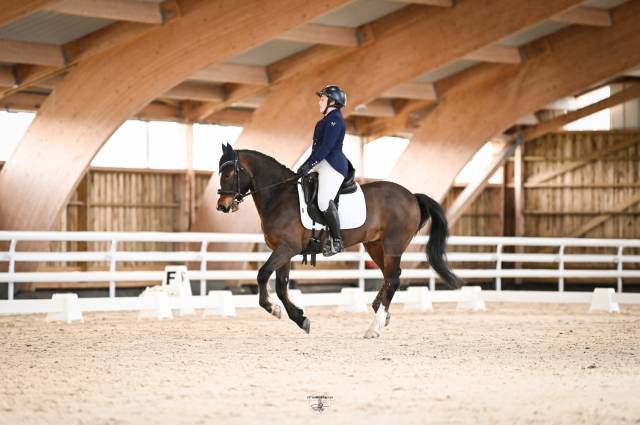 Selle Antarès Tempo 17'5 Q3 2018