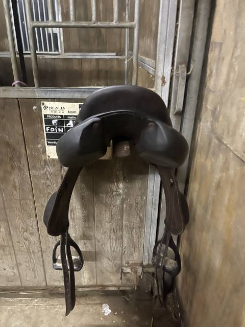 Selle Monoquartier forestier 