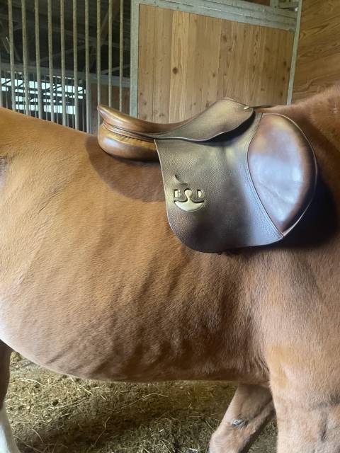 A VENDRE SELLE BRUNO DELGRANGE 17,5
