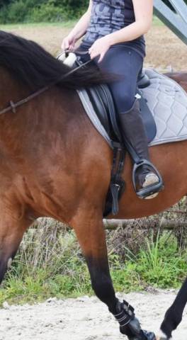 Selle dressage Bates 