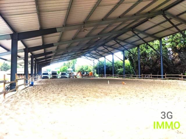 13 - SALON DE PROVENCE PROPRIETE EQUESTRE 4.9 HECTARES