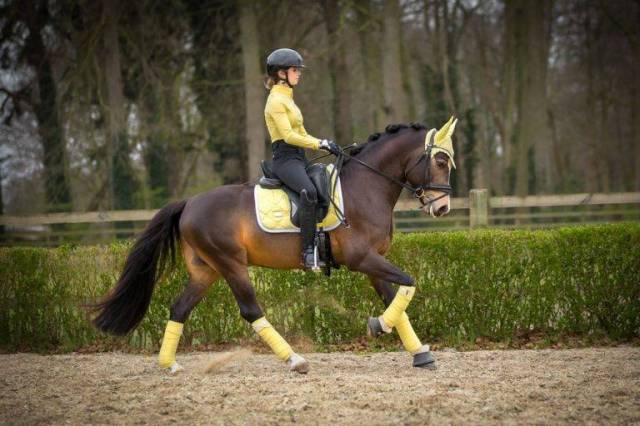 Tapis de selle Soft Lemon - Equestrian Stockholm